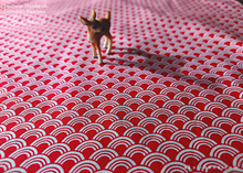 Load image into Gallery viewer, Furoshiki Reusable Fabric Wrap, Bandana, Seigaiha Red ⦿fsjf1013
